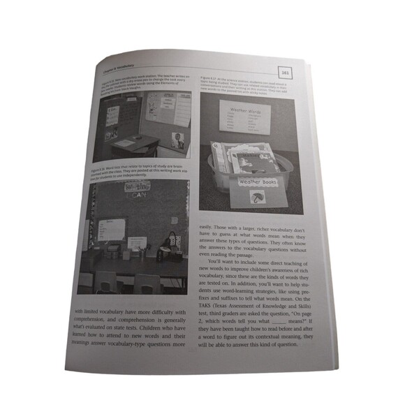 Making The Most Of Small Groups : Differentiation For All By Debbie Miller 2007 - Picture 6 of 8